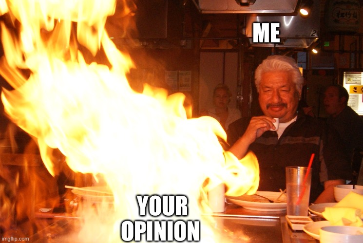 Watch it burn |  ME; YOUR OPINION | image tagged in memes,evil,fire,villain,roast | made w/ Imgflip meme maker