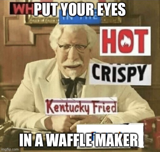 This is just for fun do not do this | PUT YOUR EYES; IN A WAFFLE MAKER | image tagged in what in the hot crispy kentucky fried frick | made w/ Imgflip meme maker