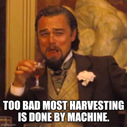 Laughing Leo Meme | TOO BAD MOST HARVESTING IS DONE BY MACHINE. | image tagged in memes,laughing leo | made w/ Imgflip meme maker