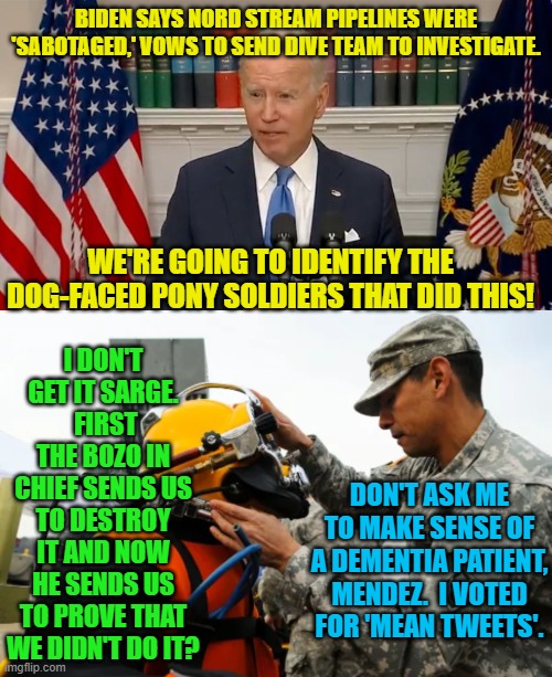 Pretty much, yes. | BIDEN SAYS NORD STREAM PIPELINES WERE 'SABOTAGED,' VOWS TO SEND DIVE TEAM TO INVESTIGATE. I DON'T GET IT SARGE.  FIRST THE BOZO IN CHIEF SENDS US TO DESTROY IT AND NOW HE SENDS US TO PROVE THAT WE DIDN'T DO IT? WE'RE GOING TO IDENTIFY THE DOG-FACED PONY SOLDIERS THAT DID THIS! DON'T ASK ME TO MAKE SENSE OF A DEMENTIA PATIENT, MENDEZ.  I VOTED FOR 'MEAN TWEETS'. | image tagged in dem party schemes | made w/ Imgflip meme maker