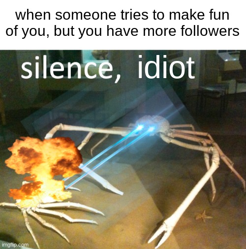 Silence Crab | when someone tries to make fun of you, but you have more followers; idiot | image tagged in silence crab | made w/ Imgflip meme maker