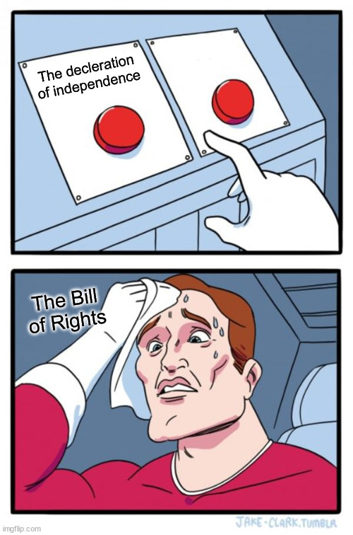 Two Buttons Meme | The decleration of independence; The Bill of Rights | image tagged in memes,two buttons | made w/ Imgflip meme maker