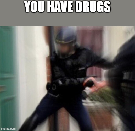 FBI Door Breach | YOU HAVE DRUGS | image tagged in fbi door breach | made w/ Imgflip meme maker