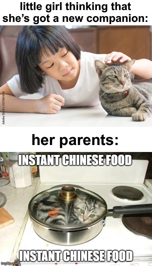 dark humor is like food | little girl thinking that she’s got a new companion:; her parents: | image tagged in instant chinese food | made w/ Imgflip meme maker