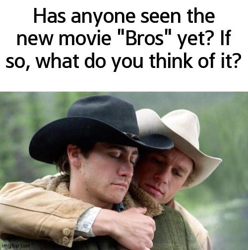 Yes, I Used a Scene From "Brokeback Mountain" for This | Has anyone seen the new movie "Bros" yet? If so, what do you think of it? | image tagged in brokeback mountain,bros,movie,memes,lgbtq | made w/ Imgflip meme maker