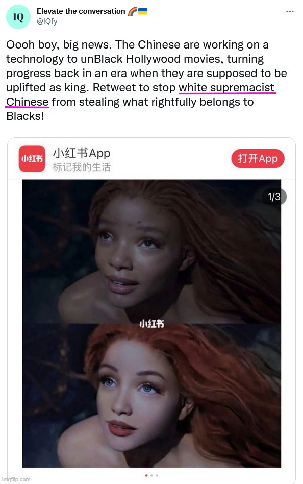 According to Hollywood LiberaLs, Chinese people are White Supremacists | image tagged in little mermaid,hollywood liberals,hollywood,liberals,liberal logic,chinese | made w/ Imgflip meme maker