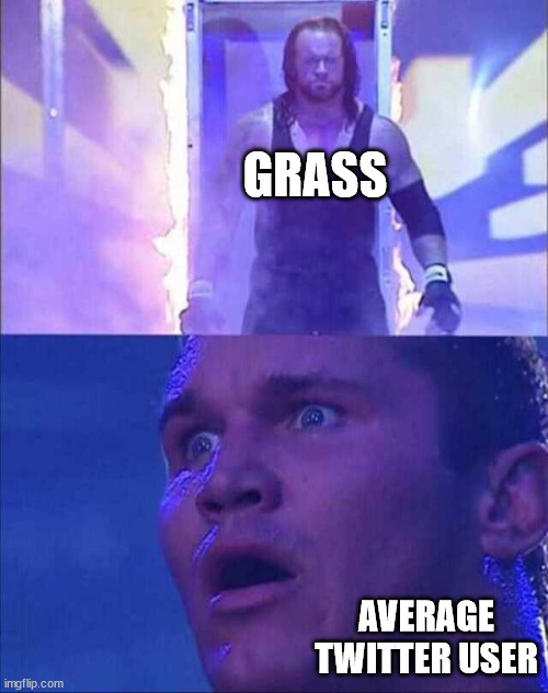 Twitter in a nutshell |  GRASS; AVERAGE TWITTER USER | image tagged in memes,funny,twitter,in a nutshell,grass,wwe | made w/ Imgflip meme maker