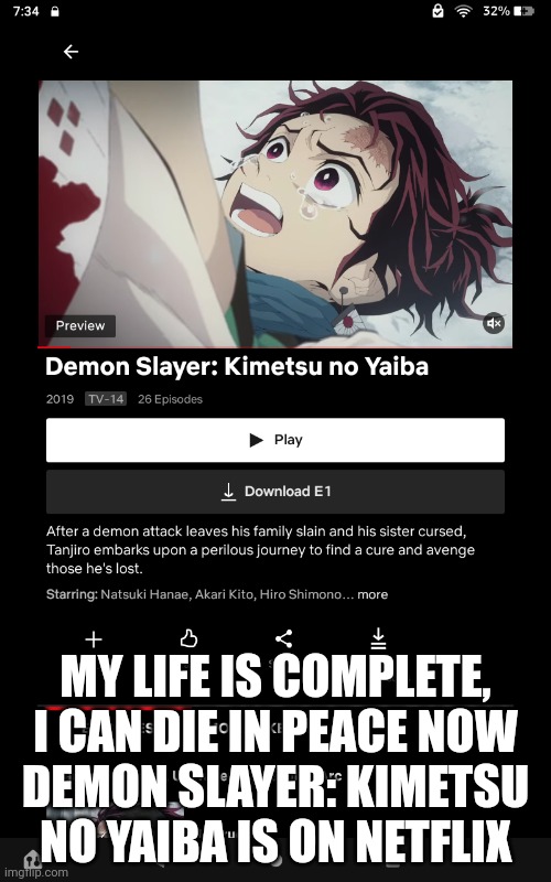 MY LIFE IS COMPLETE, I CAN DIE IN PEACE NOW
DEMON SLAYER: KIMETSU NO YAIBA IS ON NETFLIX | made w/ Imgflip meme maker