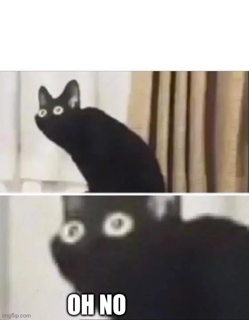 Oh No Black Cat | OH NO | image tagged in oh no black cat | made w/ Imgflip meme maker