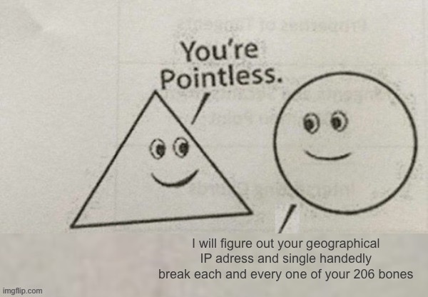 You're Pointless Blank | I will figure out your geographical IP adress and single handedly break each and every one of your 206 bones | image tagged in you're pointless blank | made w/ Imgflip meme maker
