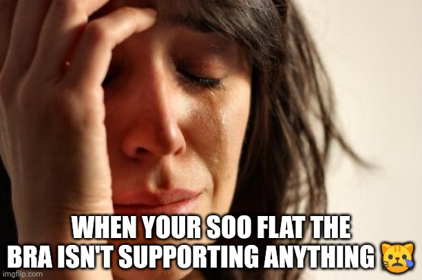 First World Problems | WHEN YOUR SOO FLAT THE BRA ISN'T SUPPORTING ANYTHING 😿 | image tagged in memes,first world problems | made w/ Imgflip meme maker