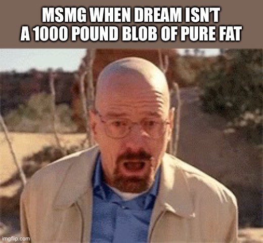 walter white | MSMG WHEN DREAM ISN’T A 1000 POUND BLOB OF PURE FAT | image tagged in walter white | made w/ Imgflip meme maker