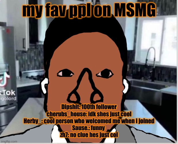 n | my fav ppl on MSMG; Dipshit: 100th follower
cherubs_house: idk shes just cool
Herby_: cool person who welcomed me when i joined
Sause.: funny 
zh7: no clue hes just col | image tagged in n | made w/ Imgflip meme maker