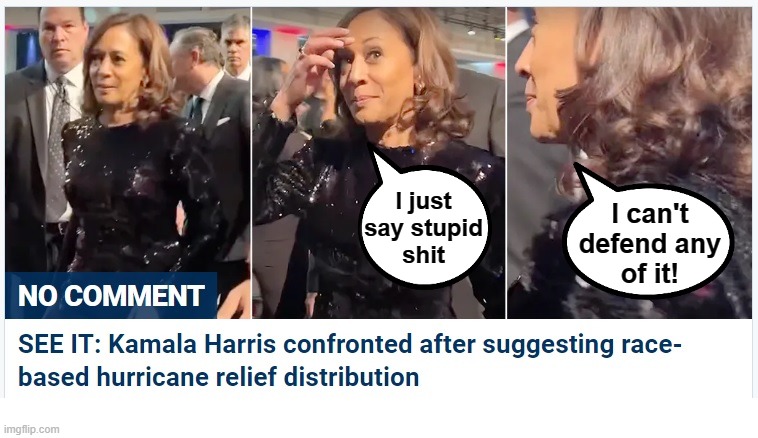 If the diversity hire said what she was 'thinking' | I can't
defend any
of it! I just
say stupid
shit | image tagged in memes,kamala harris,democrats,race-based disaster relief,joe biden,hurricane | made w/ Imgflip meme maker