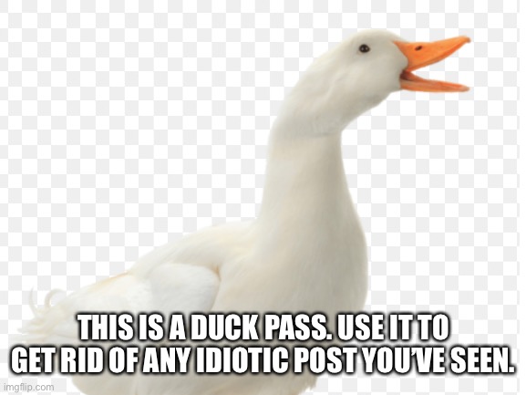D | THIS IS A DUCK PASS. USE IT TO GET RID OF ANY IDIOTIC POST YOU’VE SEEN. | image tagged in funny,fun,lol,memes,meme,duck | made w/ Imgflip meme maker