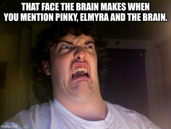 I Deeply Resent This…. |  THAT FACE THE BRAIN MAKES WHEN YOU MENTION PINKY, ELMYRA AND THE BRAIN. | image tagged in memes,oh no,pinky and the brain,animaniacs | made w/ Imgflip meme maker