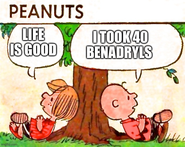 Aw hell nah Charlie Brown took 40 Be benadryls |  I TOOK 40 BENADRYLS; LIFE IS GOOD | image tagged in peanuts charlie brown peppermint patty | made w/ Imgflip meme maker