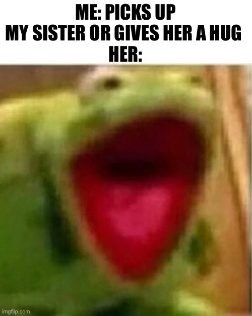 AHHHHHHHHHHHHH | ME: PICKS UP MY SISTER OR GIVES HER A HUG 
HER: | image tagged in ahhhhhhhhhhhhh | made w/ Imgflip meme maker