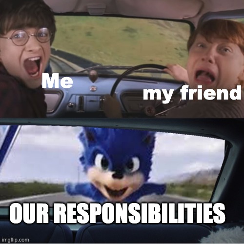 RUN BITCH RUUUUUUUN! |  Me; my friend; OUR RESPONSIBILITIES | image tagged in sonic chasing harry and ron,relatable,school,stoopid,chaos,ugly sonic | made w/ Imgflip meme maker