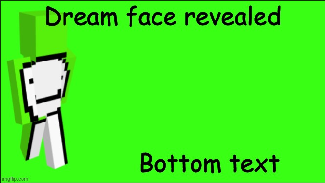 aaaaaaaaaa | Dream face revealed; Bottom text | image tagged in dream the art of minecraft | made w/ Imgflip meme maker