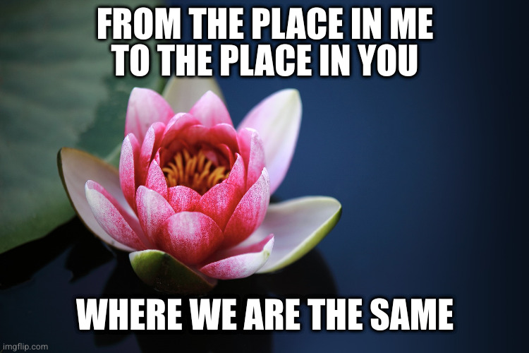 Lotus | FROM THE PLACE IN ME
TO THE PLACE IN YOU; WHERE WE ARE THE SAME | image tagged in lotus | made w/ Imgflip meme maker