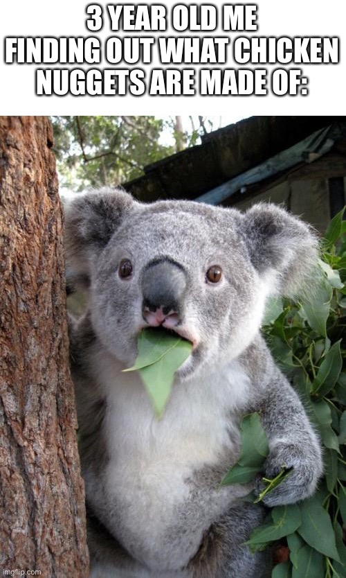 Surprised Koala Meme | 3 YEAR OLD ME FINDING OUT WHAT CHICKEN NUGGETS ARE MADE OF: | image tagged in memes,surprised koala | made w/ Imgflip meme maker