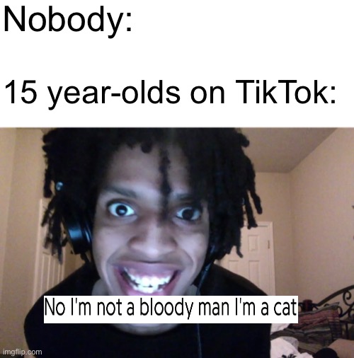 “Ok, shit in the litter box then” | Nobody:; 15 year-olds on TikTok: | image tagged in blank white template,cat,johnnascus,tiktok | made w/ Imgflip meme maker