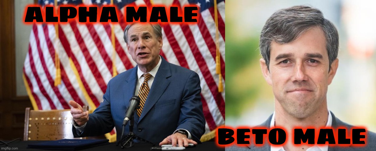 ALPHA MALE BETO MALE | image tagged in texas governor greg abbott,beto | made w/ Imgflip meme maker