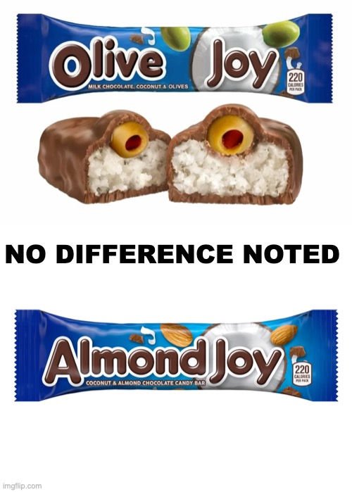 No Joy | NO DIFFERENCE NOTED | image tagged in janey mack meme,funny,halloween | made w/ Imgflip meme maker