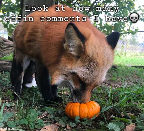 54k bro | Look at how many effin comments I have💀 | image tagged in spoopy fox | made w/ Imgflip meme maker