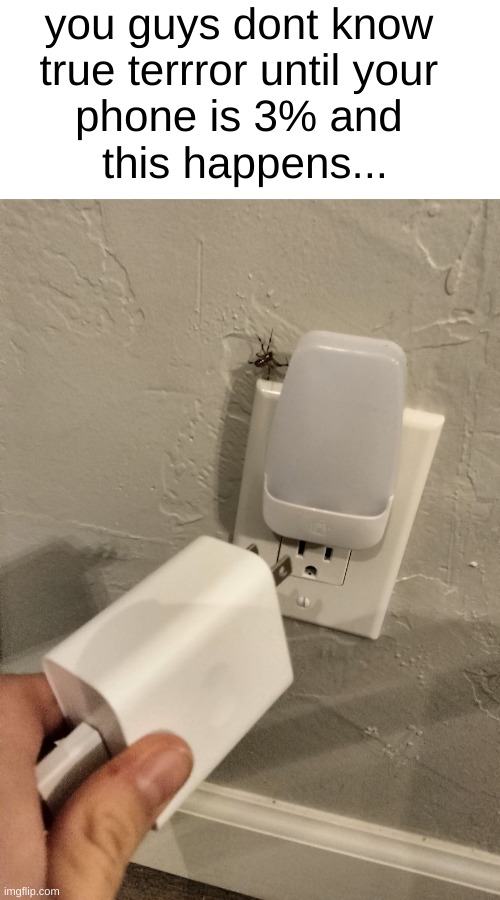 *Minor panic attack* | you guys dont know 
true terrror until your 
phone is 3% and 
this happens... | image tagged in spider,scary,phone,dead,charger,oh wow are you actually reading these tags | made w/ Imgflip meme maker
