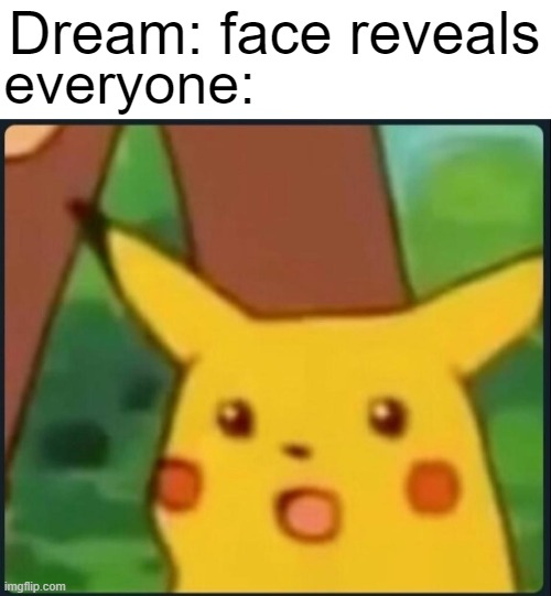 Surprised Pikachu | everyone:; Dream: face reveals | image tagged in surprised pikachu | made w/ Imgflip meme maker