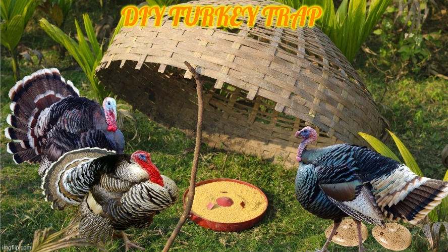 DIY TURKEY TRAP | made w/ Imgflip meme maker