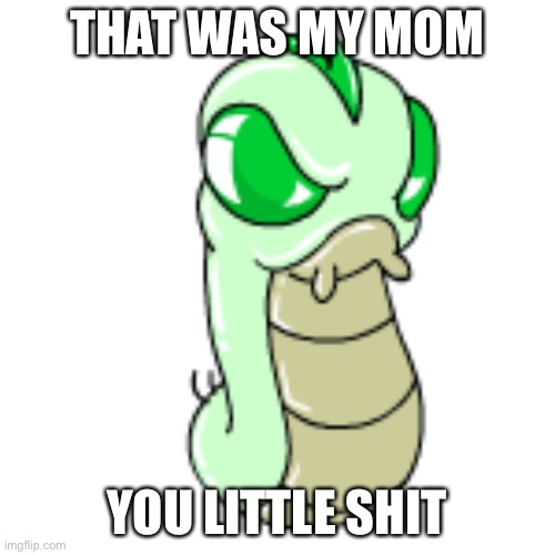 THAT WAS MY MOM YOU LITTLE SHIT | made w/ Imgflip meme maker