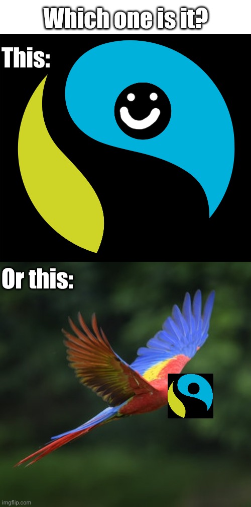 Fair trade. I have always thought it was just some sort of Ying Yang shape. | Which one is it? This:; Or this: | image tagged in fair trade,parrot,memecraftia | made w/ Imgflip meme maker