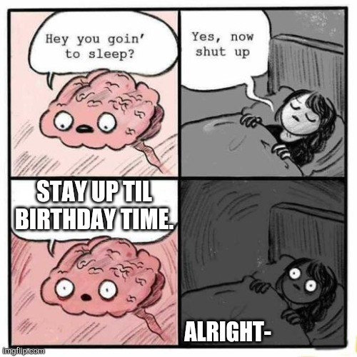 Bday in 35 minutes, 14. Bc yes. | STAY UP TIL BIRTHDAY TIME. ALRIGHT- | image tagged in hey you going to sleep | made w/ Imgflip meme maker