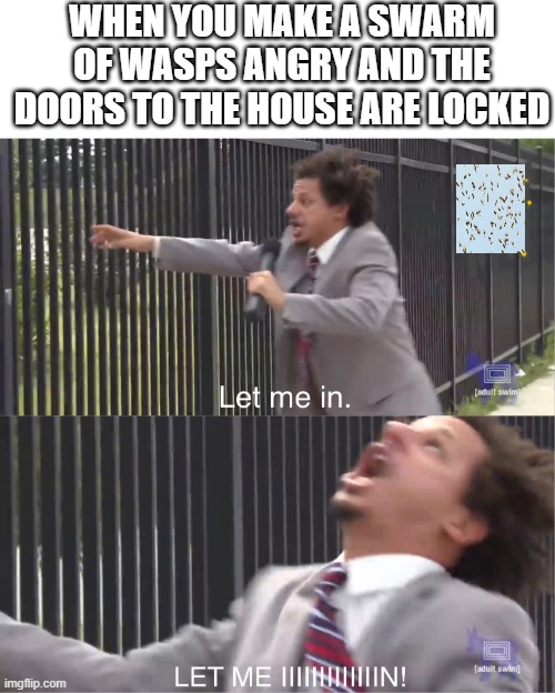 this has happened to me | WHEN YOU MAKE A SWARM OF WASPS ANGRY AND THE DOORS TO THE HOUSE ARE LOCKED | image tagged in let me in | made w/ Imgflip meme maker