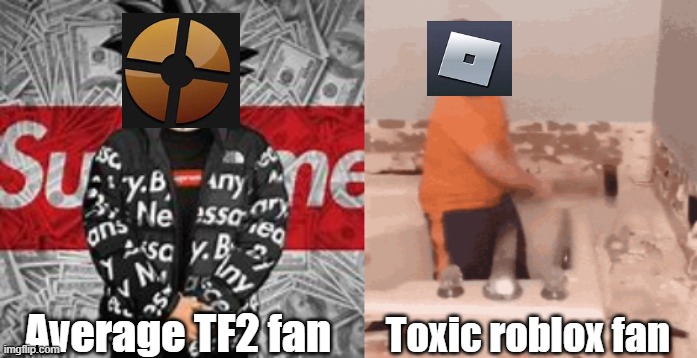 What fan which are you? | Toxic roblox fan; Average TF2 fan | image tagged in dank memes | made w/ Imgflip meme maker