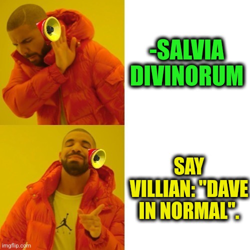 -He's okay. | -SALVIA DIVINORUM; SAY VILLIAN: "DAVE IN NORMAL". | image tagged in -pronounce for deaf ears,you don't say,dave grohl,new normal,play on words,pronouns | made w/ Imgflip meme maker