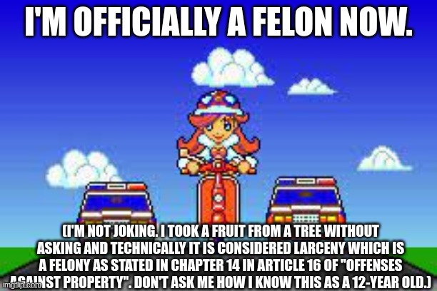 Technical Felony! | I'M OFFICIALLY A FELON NOW. (I'M NOT JOKING. I TOOK A FRUIT FROM A TREE WITHOUT ASKING AND TECHNICALLY IT IS CONSIDERED LARCENY WHICH IS A FELONY AS STATED IN CHAPTER 14 IN ARTICLE 16 OF "OFFENSES AGAINST PROPERTY". DON'T ASK ME HOW I KNOW THIS AS A 12-YEAR OLD.) | image tagged in this is not fine,not funny | made w/ Imgflip meme maker