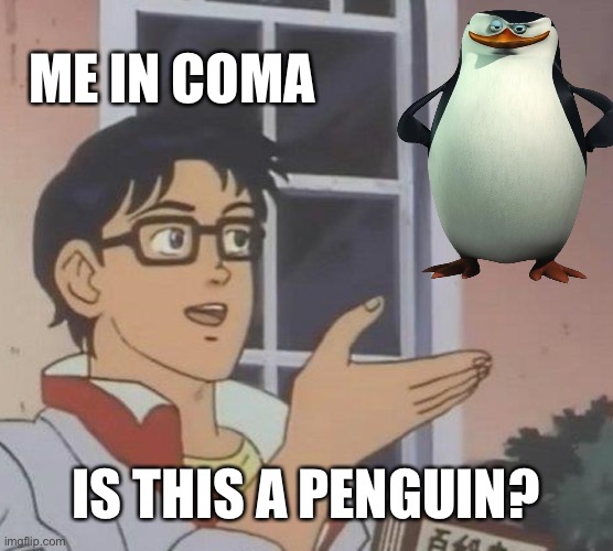 Coma | ME IN COMA; IS THIS A PENGUIN? | image tagged in memes,is this a pigeon,penguin | made w/ Imgflip meme maker