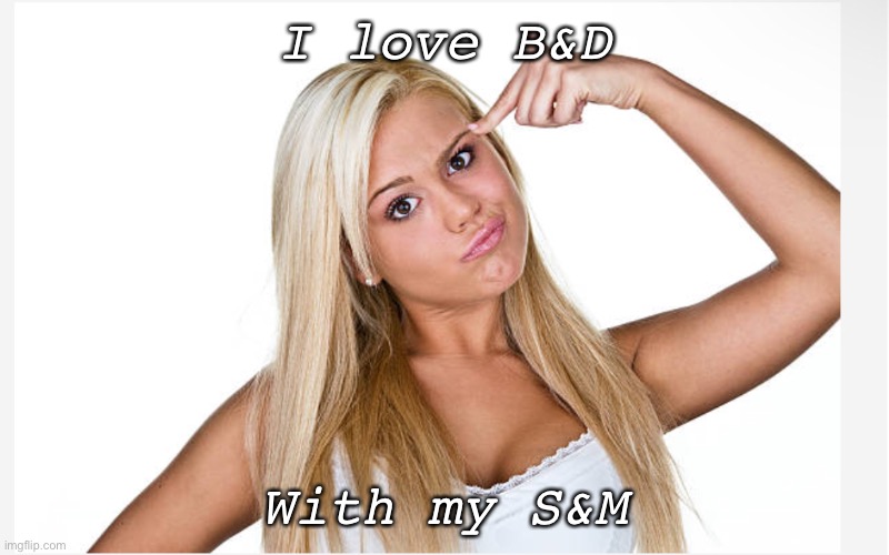 Tools 4 me | I love B&D; With my S&M | image tagged in dumb blonde,bdsm | made w/ Imgflip meme maker