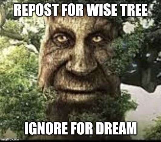 Wise mytical tree | REPOST FOR WISE TREE; IGNORE FOR DREAM | image tagged in wise mytical tree | made w/ Imgflip meme maker