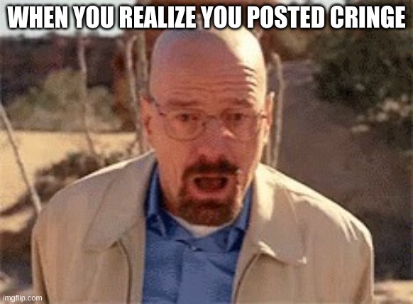Walter White | WHEN YOU REALIZE YOU POSTED CRINGE | image tagged in walter white | made w/ Imgflip meme maker