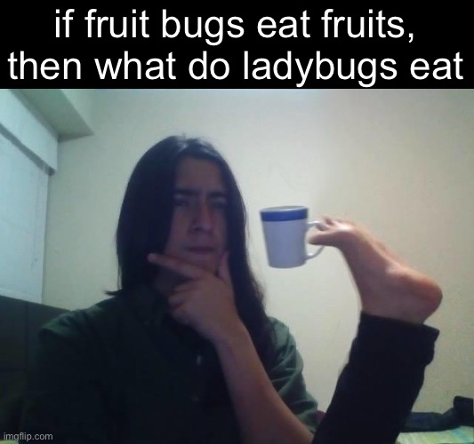 Please send to the Memenade Discord | if fruit bugs eat fruits, then what do ladybugs eat | image tagged in shower thoughts,memes | made w/ Imgflip meme maker