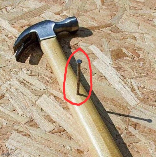 You had one job (hammer meme) | image tagged in you had one job hammer meme | made w/ Imgflip meme maker