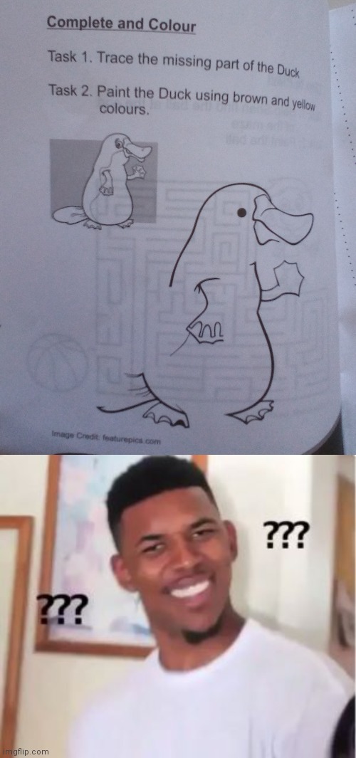 A Duck??? | image tagged in nick young | made w/ Imgflip meme maker