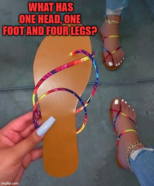 what-has-toes-but-no-feet-or-legs-riddles-with-answer