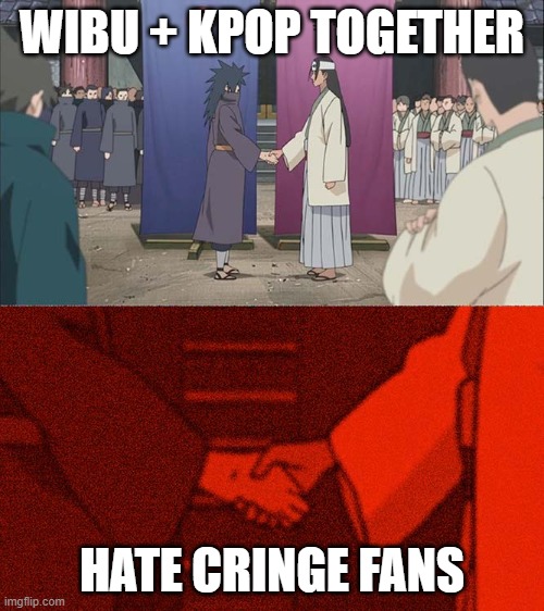 When Wibu and Kpop fan met : | WIBU + KPOP TOGETHER; HATE CRINGE FANS | image tagged in epic handshake | made w/ Imgflip meme maker