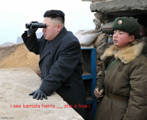 kim sees kam | image tagged in kim jong un,funny memes,kamala harris | made w/ Imgflip meme maker